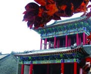 昌邑今天天气